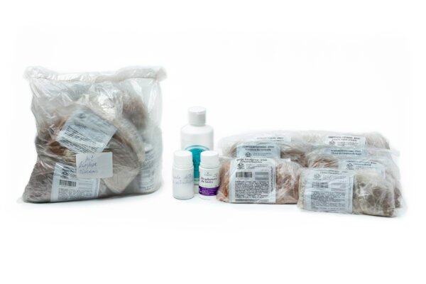 Kit Mix Viscerais – Limpeza Profunda dos Órgãos Internos