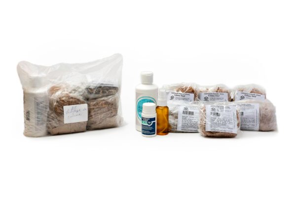 Kit Coluna Vital – Alívio e Reequilíbrio para a Sua Coluna