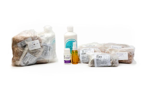 Kit Coluna Vital – Alívio e Reequilíbrio para a Sua Coluna - Image 2