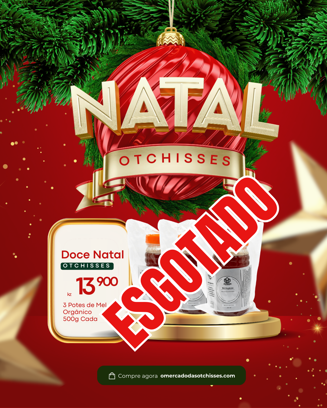 Pack 3 Potes de Mel Orgânico Otchisses (500 ml cada)